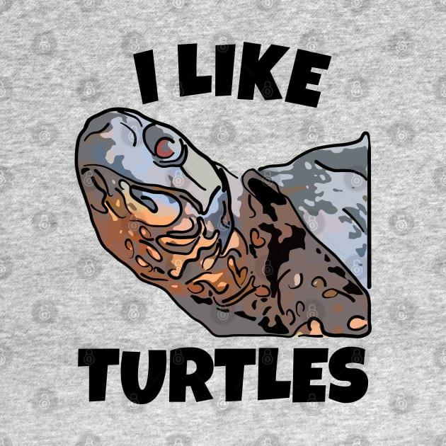 I Like Turtles by ardp13